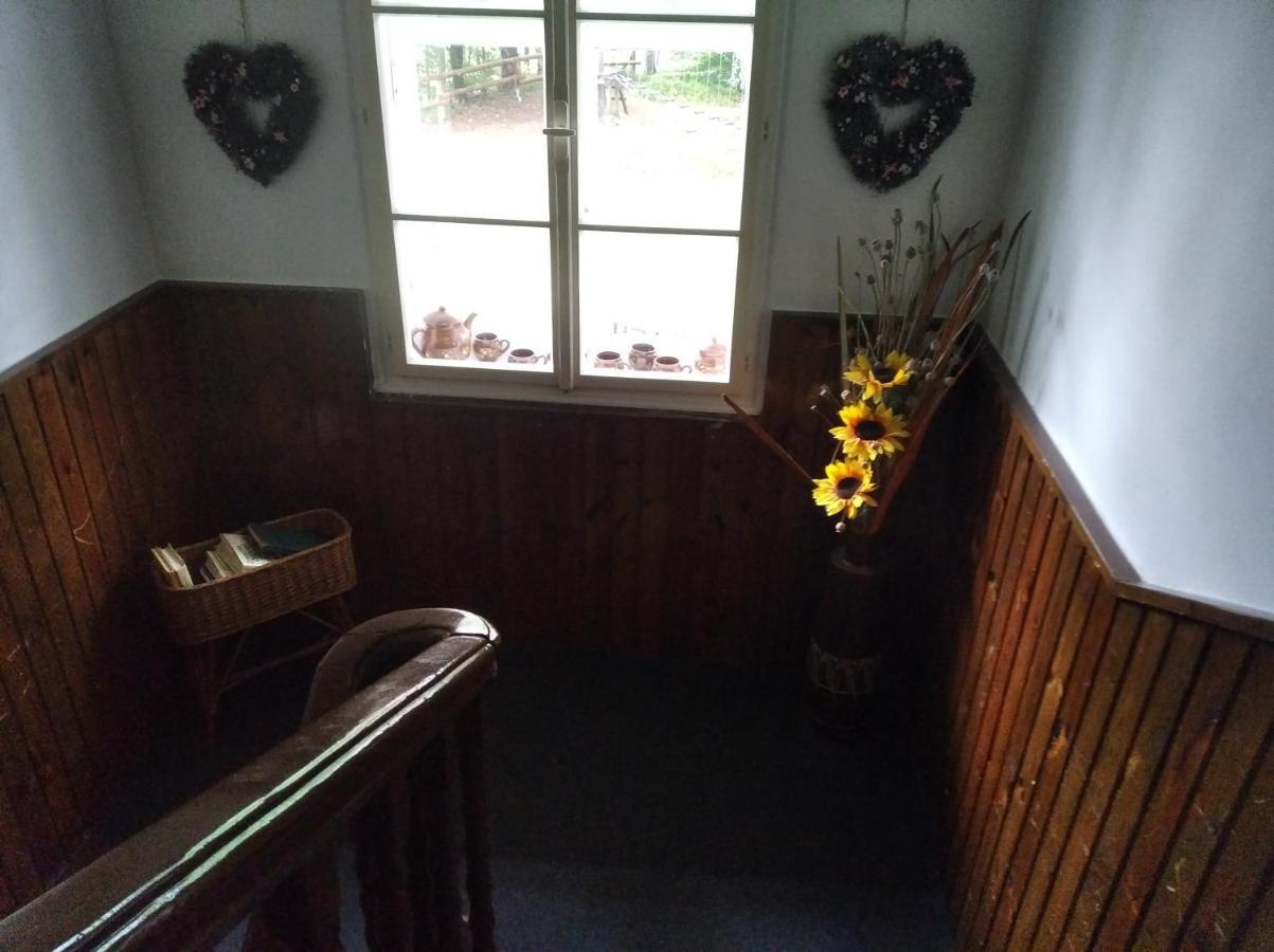 Chata Tokáň Jetřichovice Exterior foto